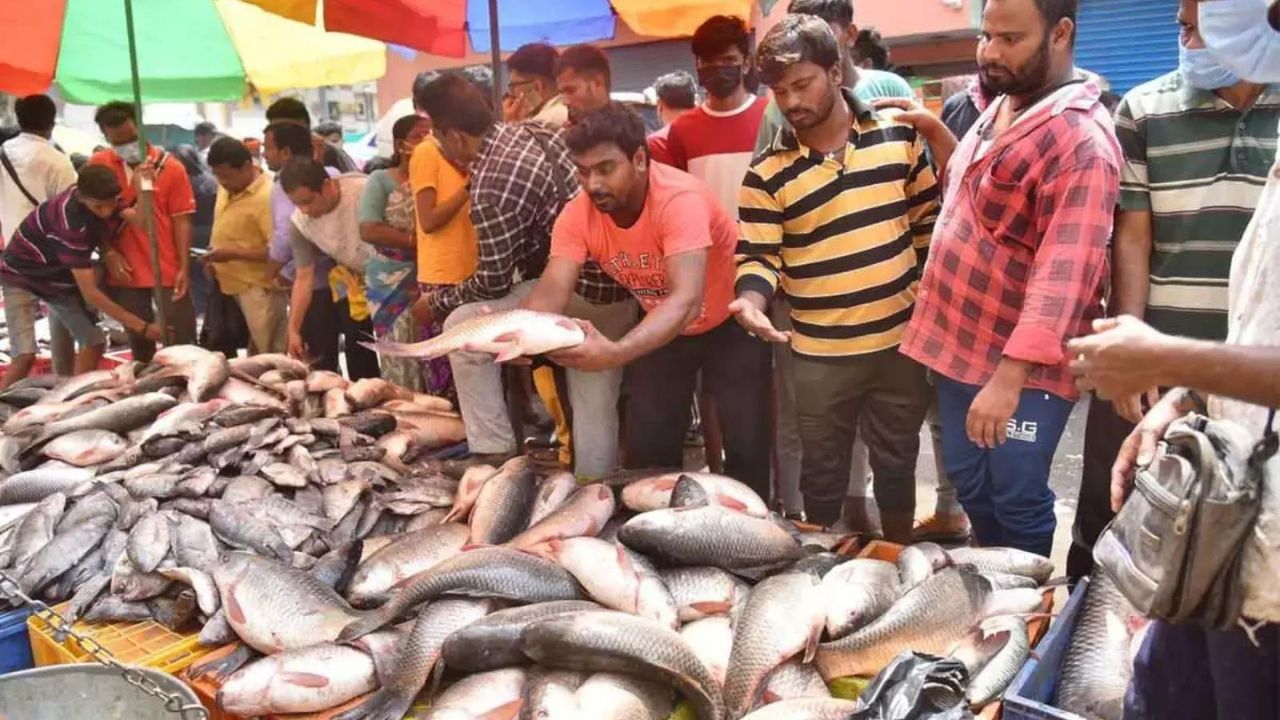 হায়দরাবাদের মাচ্ছি বাজার কিন্তু দেশের চতুর্থ বৃহৎ ফিশ মার্কেট। তাজা মাছ পাওয়ার জন্য এই বাজার বেশ জনপ্রিয়। রুই, কাতলা থেকে সিফুড সবই পাওয়া যায় এই মার্কেটে।  