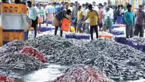 Fish Market: দেশের ৭ সবথেকে বড় মাছের বাজার কোনগুলি জানেন?