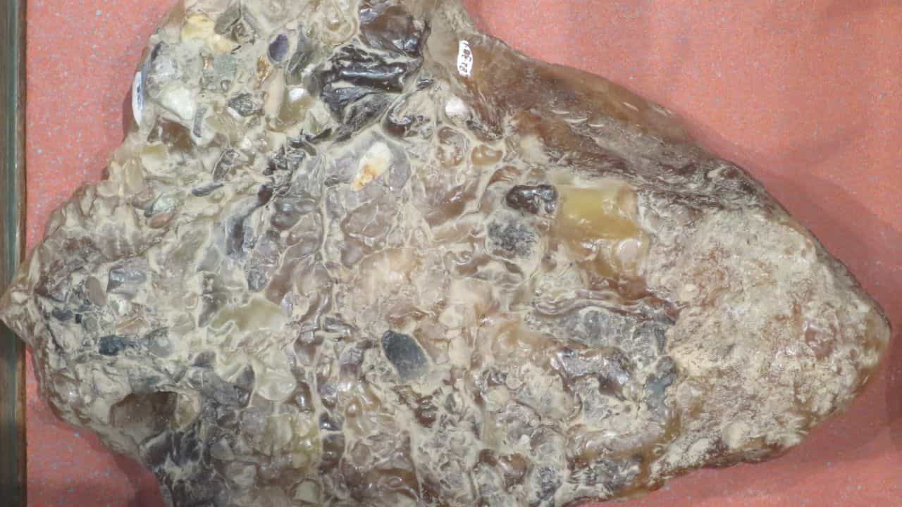 কাপড়ে মোড়া ছিল ভারী, সাদা শক্ত জিনিসটা, সাড়ে ৫ কেজি ওজন, তারই দাম নাকি সাড়ে ৬ কোটি! কাপড়ে মোড়া ছিল ভারী, সাদা শক্ত জিনিসটা, সাড়ে ৫ কেজি ওজন, তারই দাম নাকি সাড়ে ৬ কোটি!
