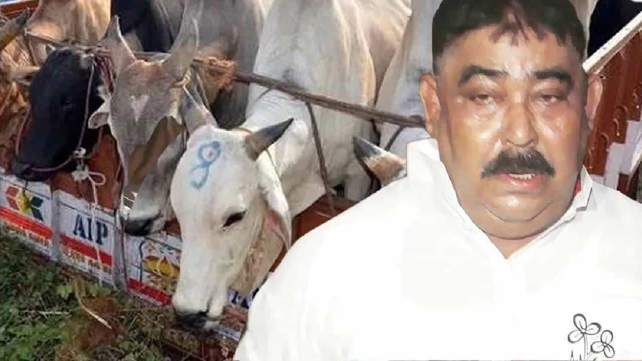 Anubrata Mondal: সেদিন শিবঠাকুরও পারেননি, কেন কেষ্টকে তিহাড় যেতে হয়েছিল Anubrata Mondal: সেদিন শিবঠাকুরও পারেননি, কেন কেষ্টকে তিহাড় যেতে হয়েছিল