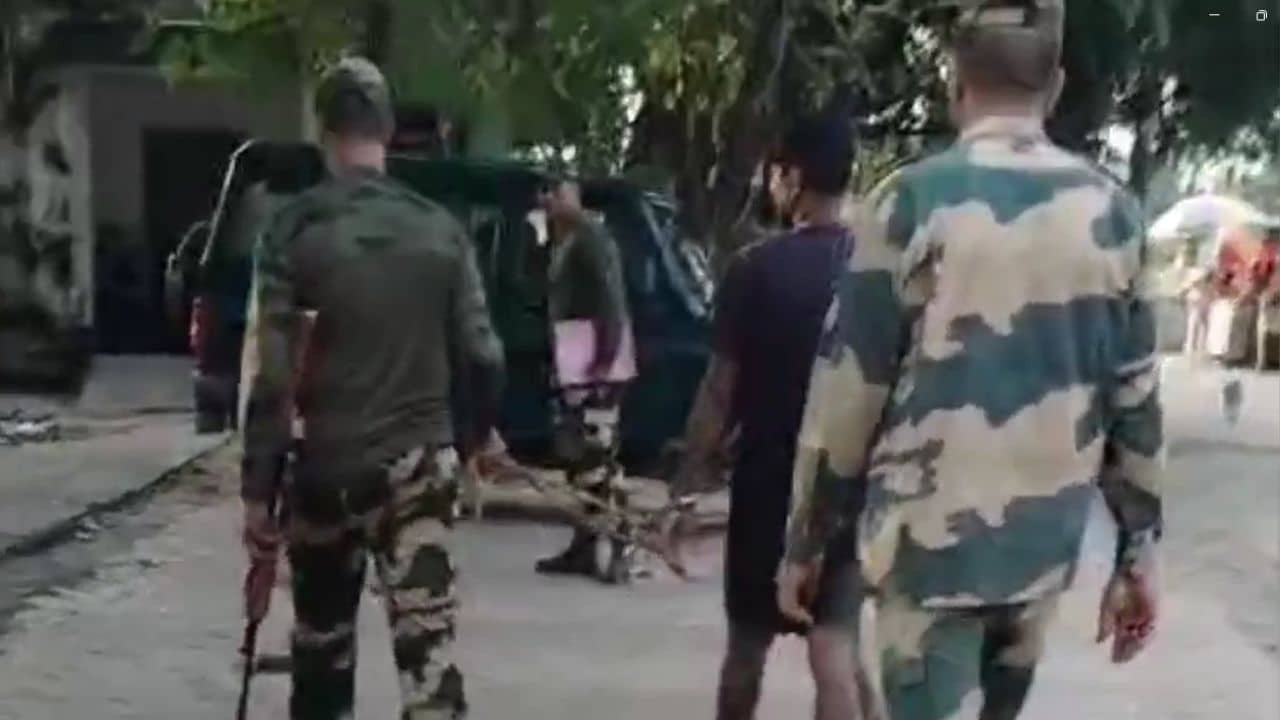BSF: মোষ পাচারে বাধা পেয়ে হামলা, জবাব দিল বিএসএফ