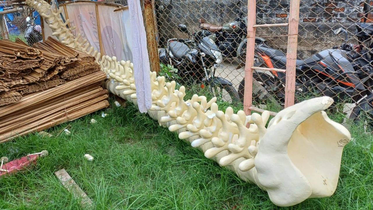 Durga Puja 2024: মাঠে গড়াগড়ি খাচ্ছে শিরদাঁড়া, বেলেঘাটার পুজোর থিম ঘিরে বাড়ল জল্পনা