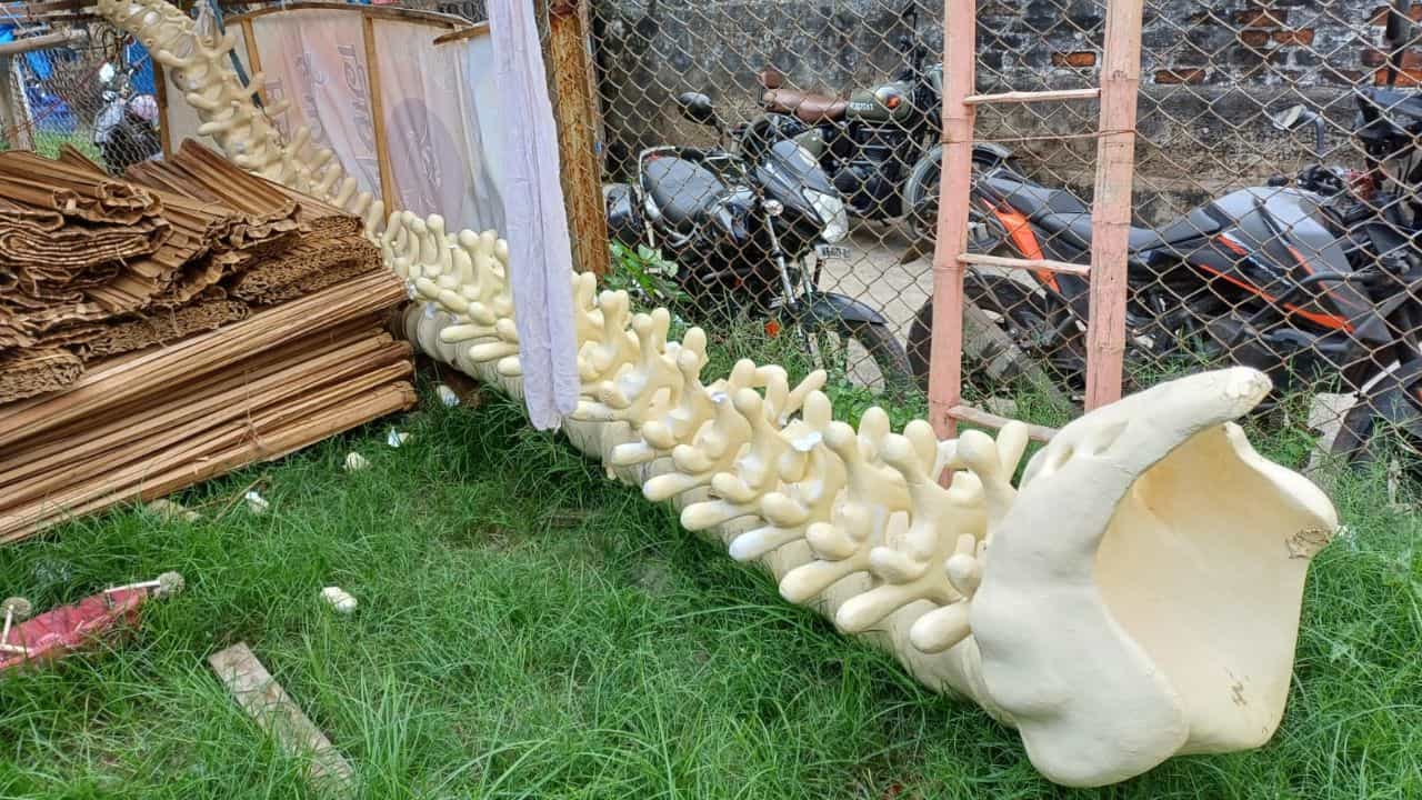 Durga Puja 2024: মাঠে গড়াগড়ি খাচ্ছে 'শিরদাঁড়া', বেলেঘাটার পুজোর থিম ঘিরে বাড়ল জল্পনা Durga Puja 2024: মাঠে গড়াগড়ি খাচ্ছে 'শিরদাঁড়া', বেলেঘাটার পুজোর থিম ঘিরে বাড়ল জল্পনা