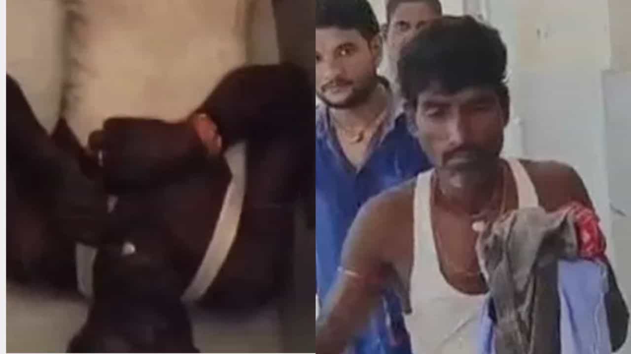 ময়নাতদন্তের জন্য নিয়ে যাচ্ছিল, হাত ধরতেই তড়াক করে উঠে দাঁড়াল 'মৃতদেহ'! হাসপাতালে হুলুস্থুলু কাণ্ড ময়নাতদন্তের জন্য নিয়ে যাচ্ছিল, হাত ধরতেই তড়াক করে উঠে দাঁড়াল 'মৃতদেহ'! হাসপাতালে হুলুস্থুলু কাণ্ড