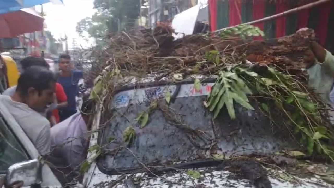 Bongaon: বৃষ্টির সঙ্গে দমকা হাওয়া, তার মধ্যেও নিমন্ত্রণ খেতে এসে মৃত্যুর মুখোমুখি অতিথিরা Bongaon: বৃষ্টির সঙ্গে দমকা হাওয়া, তার মধ্যেও নিমন্ত্রণ খেতে এসে মৃত্যুর মুখোমুখি অতিথিরা