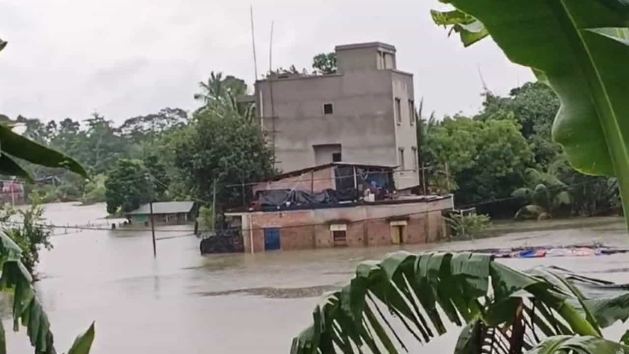 Flood Situation: টানা বৃষ্টিতে নতুন করে জল ঢুকতে শুরু করেছে, উদ্ধারকার্যে নামল NDRF Flood Situation: টানা বৃষ্টিতে নতুন করে জল ঢুকতে শুরু করেছে, উদ্ধারকার্যে নামল NDRF
