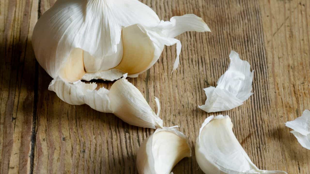 Chinese Garlic: হাইকোর্টে চিনা রসুন নিয়ে হাজির আইনজীবী, অভিযোগ শুনেই ডাক পড়ল অফিসারদের Chinese Garlic: হাইকোর্টে চিনা রসুন নিয়ে হাজির আইনজীবী, অভিযোগ শুনেই ডাক পড়ল অফিসারদের