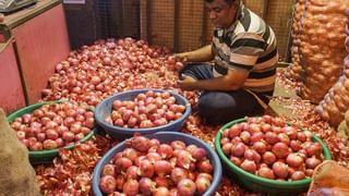 Gold Price Hike: ধনতেরাসে কুবের দেবতাকে সন্তুষ্ট করতে চান? সোনা-রুপোর লেটেস্ট দাম জেনেই দোকানে যান