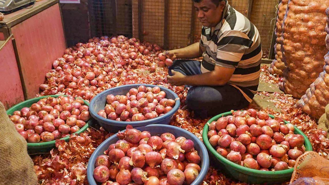 Onion Price: স্টেশনে ঢুকল এক ট্রেন ভর্তি পেঁয়াজ, কেন এমন পদক্ষেপ মোদী সরকারের