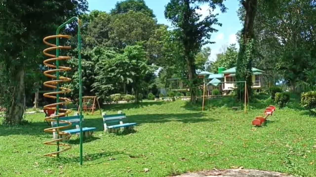 Jangal Safari: ১৬ সেপ্টেম্বর থেকে পর্যটকদের জন্য খুলছে জঙ্গল সাফারি Jangal Safari: ১৬ সেপ্টেম্বর থেকে পর্যটকদের জন্য খুলছে জঙ্গল সাফারি