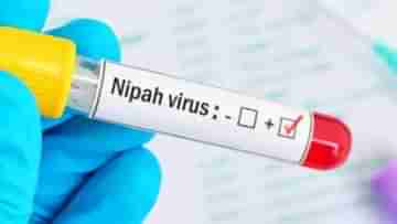 Nipah Virus: এ বছর কেরলে নিপা ভাইরাসে দ্বিতীয় মৃত্যু, প্রাণ গেল ২৪ বছরের যুবকের