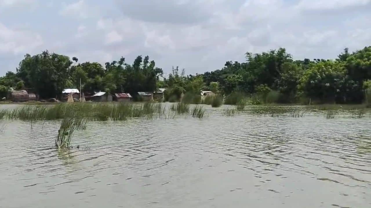 Flood: গঙ্গার জলে ভাসছে ভুতনি, তার মধ্যেও সাংঘাতিক অভিযোগ...
