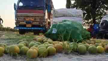 Jalpaiguri: মোসম্বি লেবু না অন্য কিছু? পুলিশি হানায় চোখ কপালে ওঠার জোগাড়