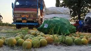 Jalpaiguri: মোসম্বি লেবু না অন্য কিছু? পুলিশি হানায় চোখ কপালে ওঠার জোগাড়