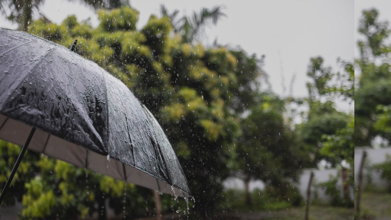 Weather: আজ পশলায় ভিজবে শহর, তবে অতি ভারী বৃষ্টি হবে জেলাগুলিতে...