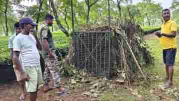 Dhupguri: খাঁচা ভেঙেই পালাল চিতাবাঘ, গ্রাম জুড়ে আতঙ্ক