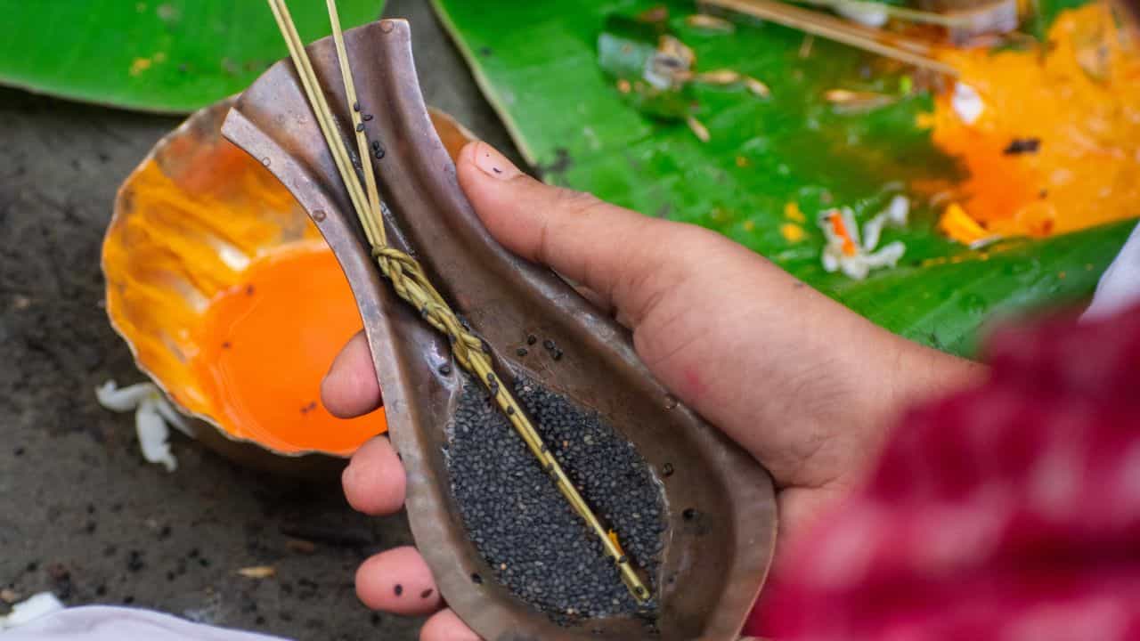 Pitru Paksha 2024: ৭ নিয়ম আজ থেকে মহালয়া অবধি পালন করুন! কাটবে পিতৃ দোষ, ফিরবে অর্থভাগ্য Pitru Paksha 2024: ৭ নিয়ম আজ থেকে মহালয়া অবধি পালন করুন! কাটবে পিতৃ দোষ, ফিরবে অর্থভাগ্য
