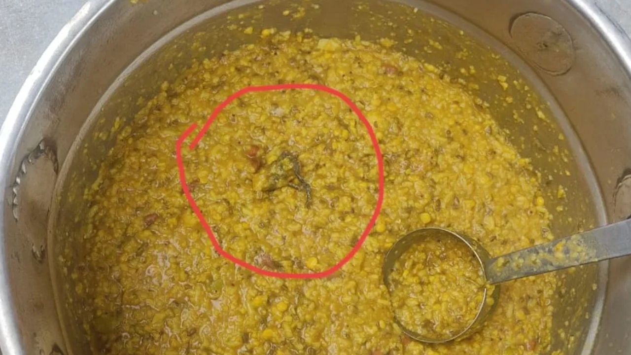 একটু হলেই মরে যেত বাচ্চাগুলো! কেঁচো-ইঁদুর না, মিড ডে মিলের খাবারে এবার যা মিলল..ঠান্ডা হয়ে যাবে হাত-পা একটু হলেই মরে যেত বাচ্চাগুলো! কেঁচো-ইঁদুর না, মিড ডে মিলের খাবারে এবার যা মিলল..ঠান্ডা হয়ে যাবে হাত-পা