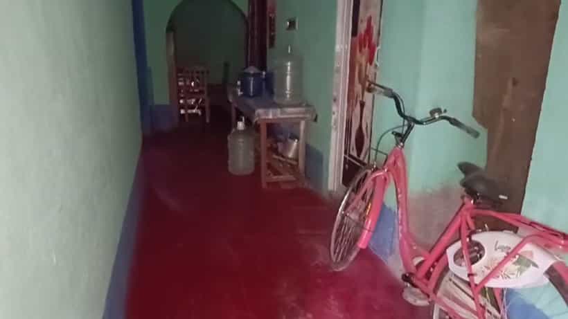Nadia Murder: ঘরের দরজায় তালা দিয়ে কুপিয়ে-কুপিয়ে স্ত্রীকে খুন স্বামীর!