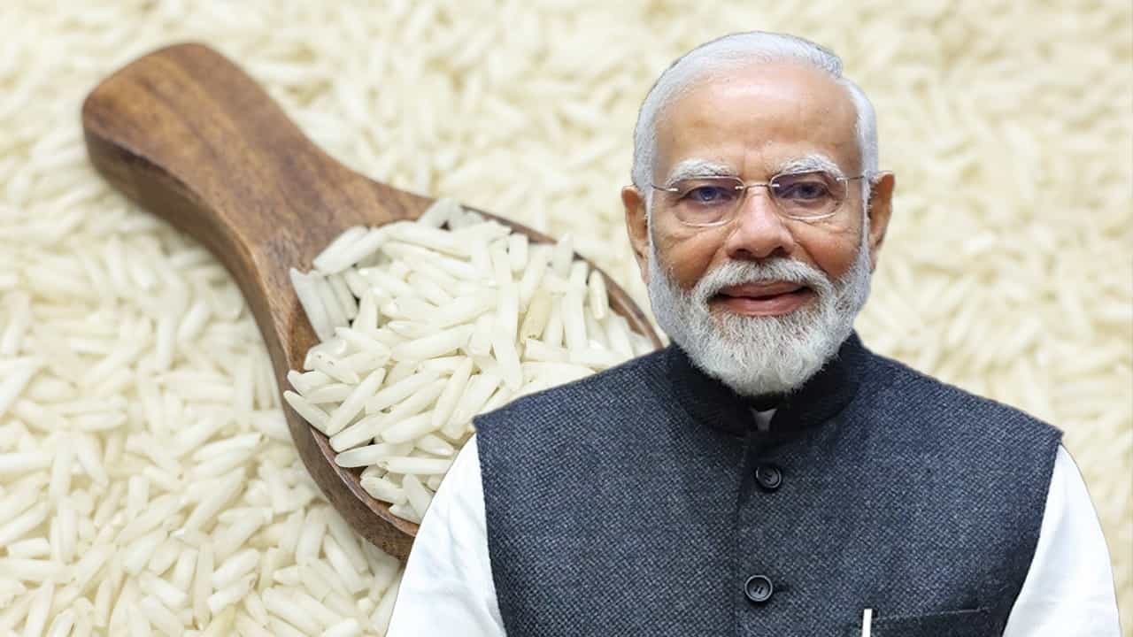 PM Narendra Modi: কৃষিজ পণ্য রফতানিতে বড় সিদ্ধান্ত কেন্দ্রের, লাভবান হবেন কৃষকরা PM Narendra Modi: কৃষিজ পণ্য রফতানিতে বড় সিদ্ধান্ত কেন্দ্রের, লাভবান হবেন কৃষকরা