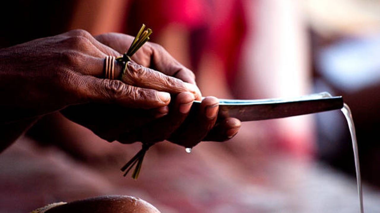 Pitru Paksha 2024: মহালয়ার আগে পিতৃপক্ষের সময় কোন কাজগুলো একেবারেই করা চলবে না? Pitru Paksha 2024: মহালয়ার আগে পিতৃপক্ষের সময় কোন কাজগুলো একেবারেই করা চলবে না?