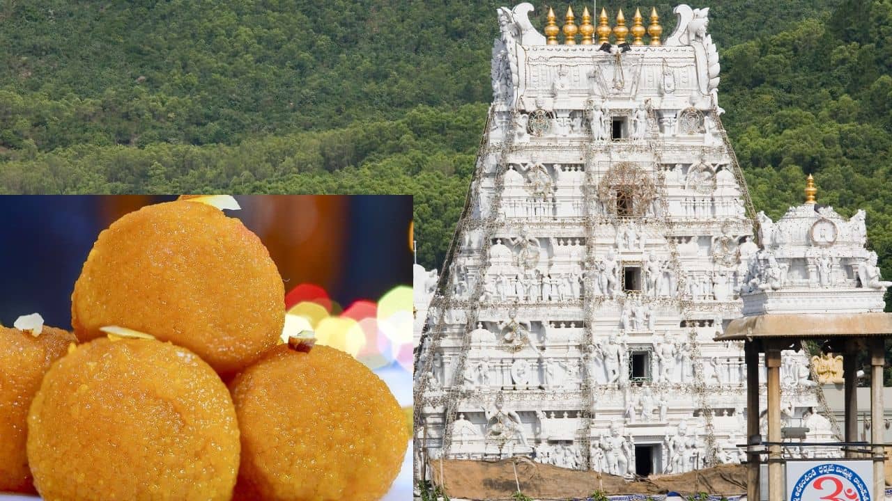 Tirupati Temple: প্রসাদী লাড্ডুতে ঘিয়ের বদলে পশুর চর্বি? তিরুপতি মন্দির নিয়ে মারাত্মক অভিযোগ মুখ্যমন্ত্রীর