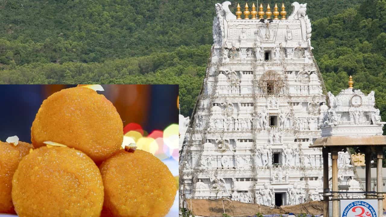 Tirupati Temple: প্রসাদী লাড্ডুতে ঘিয়ের বদলে পশুর চর্বি? তিরুপতি মন্দির নিয়ে মারাত্মক অভিযোগ মুখ্যমন্ত্রীর Tirupati Temple: প্রসাদী লাড্ডুতে ঘিয়ের বদলে পশুর চর্বি? তিরুপতি মন্দির নিয়ে মারাত্মক অভিযোগ মুখ্যমন্ত্রীর