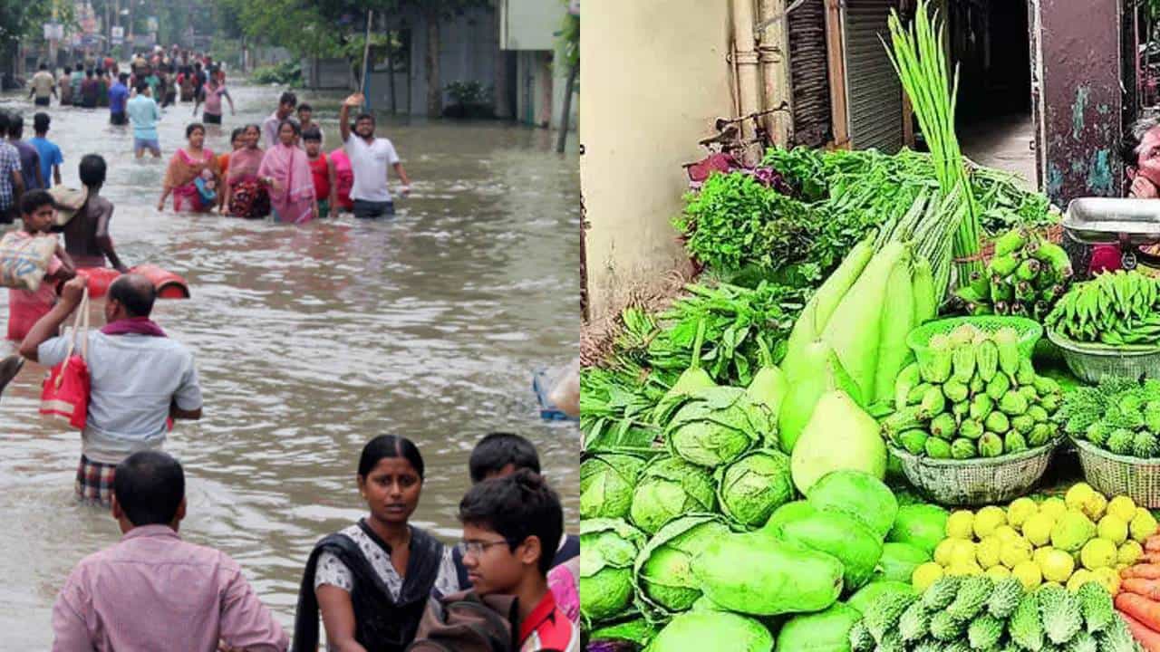 Vegetable Price: ডুবেছে বিঘার পর বিঘা জমি, কোন কোন সবজির দাম সবথেকে বেশি বাড়তে পারে? কী বলছেন কৃষকেরা? Vegetable Price: ডুবেছে বিঘার পর বিঘা জমি, কোন কোন সবজির দাম সবথেকে বেশি বাড়তে পারে? কী বলছেন কৃষকেরা?