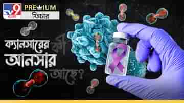 Cancer Treatment: সবার শরীরে ঘুমিয়ে থাকে ক্যানসারের কোষ! কখন জাগে জানেন? কী কী ওষুধ রয়েছে?