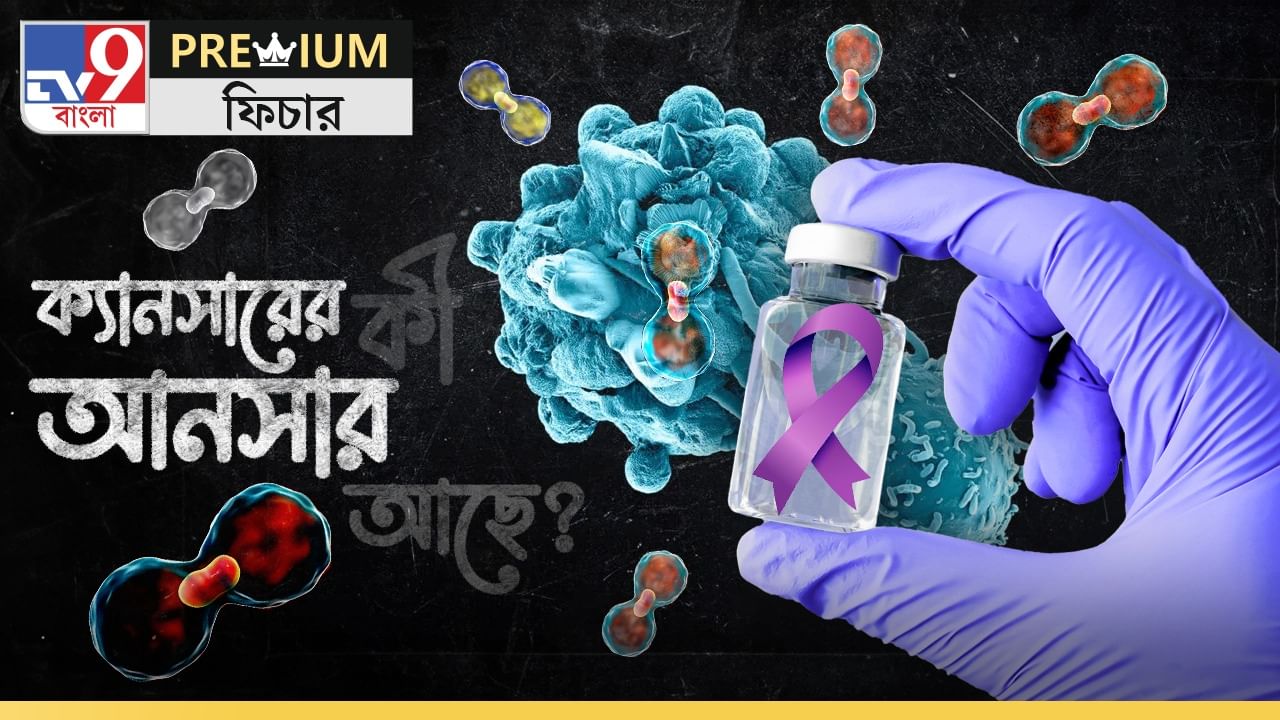 Cancer Treatment: সবার শরীরে 'ঘুমিয়ে থাকে' ক্যানসারের কোষ! কখন জাগে জানেন? কী কী ওষুধ রয়েছে?