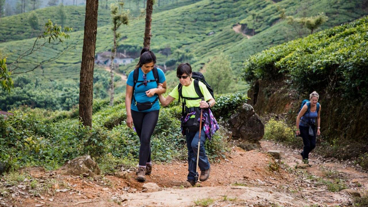 Diet Tips during Travel: পুজোর ছুটিতে পাহাড়ে যাচ্ছেন? ঘোরার মাঝে পেটের খেয়াল রাখবেন কীভাবে?