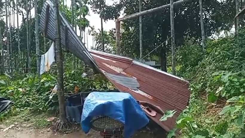 Jalpaiguri: কয়েক মিনিটের ঝড়, লণ্ডভণ্ড গোটা গ্রাম