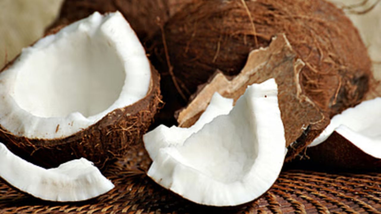 Coconut: পুজোর আগে নারকেলের গুণেই কমবে মেদ, রোগা হবেন নিমেষে! কী ভাবে জানেন? Coconut: পুজোর আগে নারকেলের গুণেই কমবে মেদ, রোগা হবেন নিমেষে! কী ভাবে জানেন?