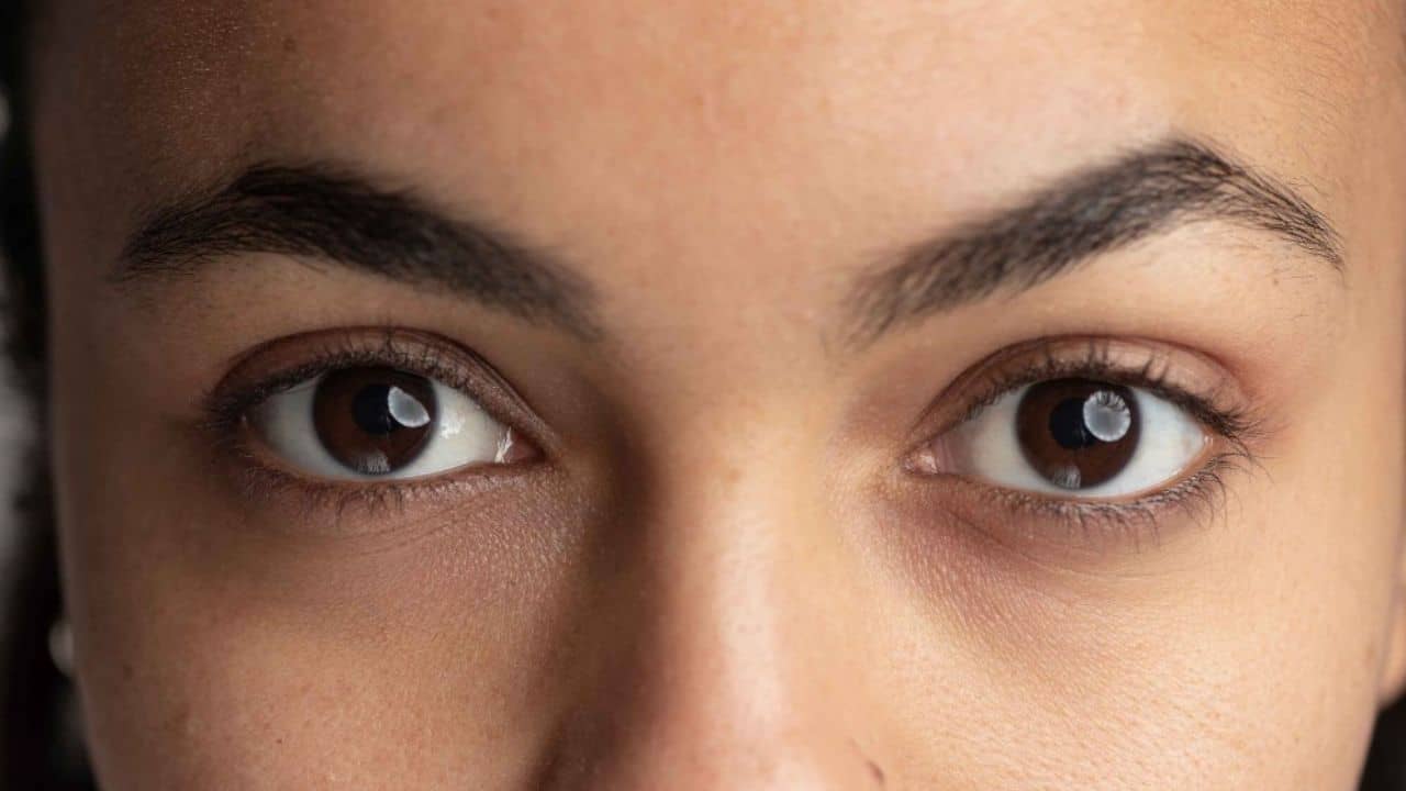 Dark Spot Removal Tips: পার্লার যেতে হবে না! পুজোর আগে বাড়িতেই নিমেষে দূর করুন চেখের তলার কালি