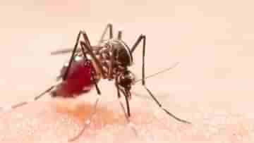 Boy dies of suspected dengue fever: ডেঙ্গি আক্রান্ত নাবালকের মৃত্য, হাসপাতালের বিরুদ্ধে বিস্ফোরক অভিযোগ পরিবারের