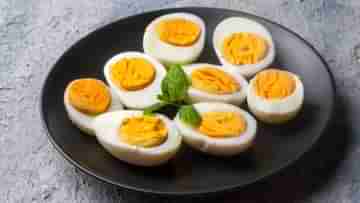 Egg Yolk vs. Egg White: ডিমের কুসুম খাবেন নাকি সাদা অংশ, কোনটা খেলে দেহে বেশি পুষ্টি মিলবে?