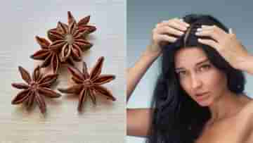 Star Anise for Hair: চুলের একগুচ্ছ সমস্যা? এই মশলার তেল মাখলেই মিলবে সমাধান