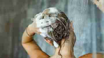 Hair Washing Tips: রোজ জল লাগালে বেশি চুল পড়ে? কী ভাবে শ্যাম্পু করলে শক্ত হবে গোড়া?