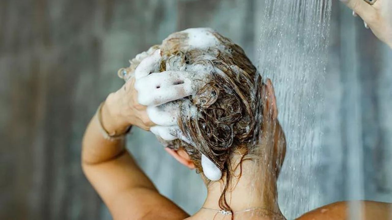 Hair Washing Tips: রোজ জল লাগালে বেশি চুল পড়ে? কী ভাবে শ্যাম্পু করলে শক্ত হবে গোড়া?