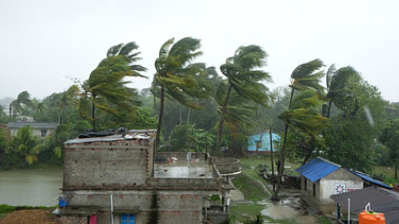 যদি কাঁচা বাড়িতে থাকেন তাহলে চেষ্টা করুন ঝড়ের আগেই নিরাপদ কোনও স্থানে বা পাকা বাড়িতে চলে যাওয়ার। বাড়ির আশেপাশে গাছগাছালি বেশি থাকলে, সাবধান। বাড়িতে থাকা জরুরি নথিপত্র, অর্থাৎ পরিচর পত্র, বাড়ির দলিল, ব্যাঙ্কের ডকুমেন্ট নিরাপদ স্থানে সরিয়ে ফেলুন আগেই। 