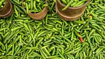 Green Chili Benefits: রোজ কাঁচা লঙ্কা অভ্যেস? শরীরের জন্য আদৌ ভাল তো?