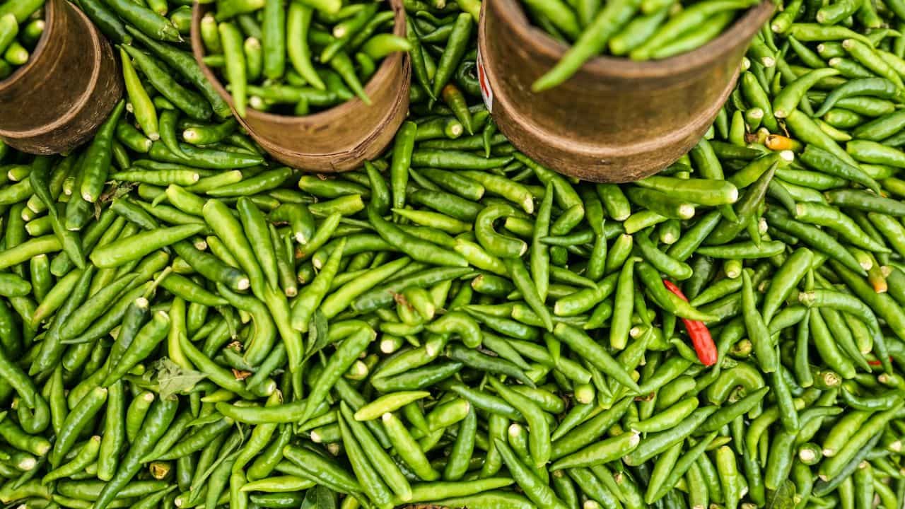 Green Chili Benefits: রোজ কাঁচা লঙ্কা অভ্যেস? শরীরের জন্য আদৌ ভাল তো? Green Chili Benefits: রোজ কাঁচা লঙ্কা অভ্যেস? শরীরের জন্য আদৌ ভাল তো?