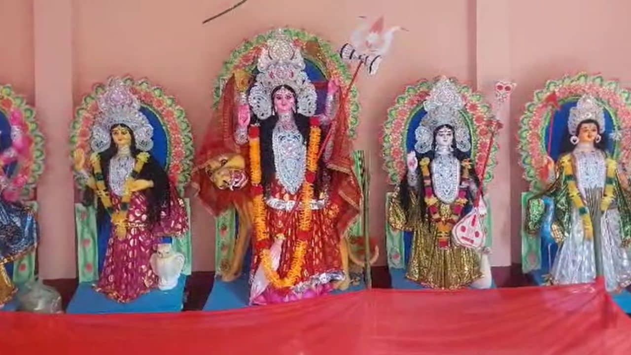 Alipurduar: দশমীতেই বোধন! এই গ্রামের দেবীর আরাধনায় লুকিয়ে চাষিদের কষ্টের কাহন