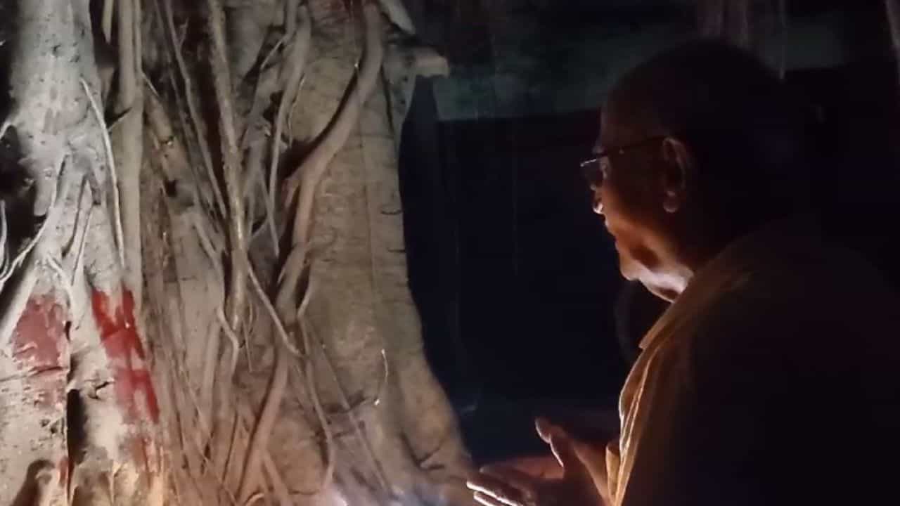 Bhoot Chaturdashi 2024: ভোগ নিবেদনের পর গাছ থেকে নেমে আসে শিবানী-শঙ্করীরা Bhoot Chaturdashi 2024: ভোগ নিবেদনের পর গাছ থেকে নেমে আসে শিবানী-শঙ্করীরা