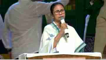 Mamata Banerjee: যারা কাজ করে না, তারা বকবক করে, বললেন মমতা, এল জুনিয়র ডাক্তারদের জবাব