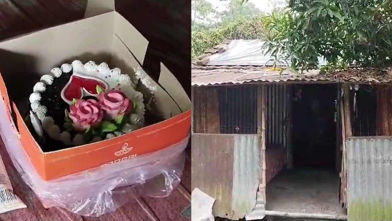 Suicide: ওরা গরিব...ছেলেকে বলেছিল এবছর বন্ধুদের নিমন্ত্রণ করে খাওয়াতে পারবে না, জন্মদিনেই গলায় দড়ি দিল ক্লাস ফাইভের ছেলেটা