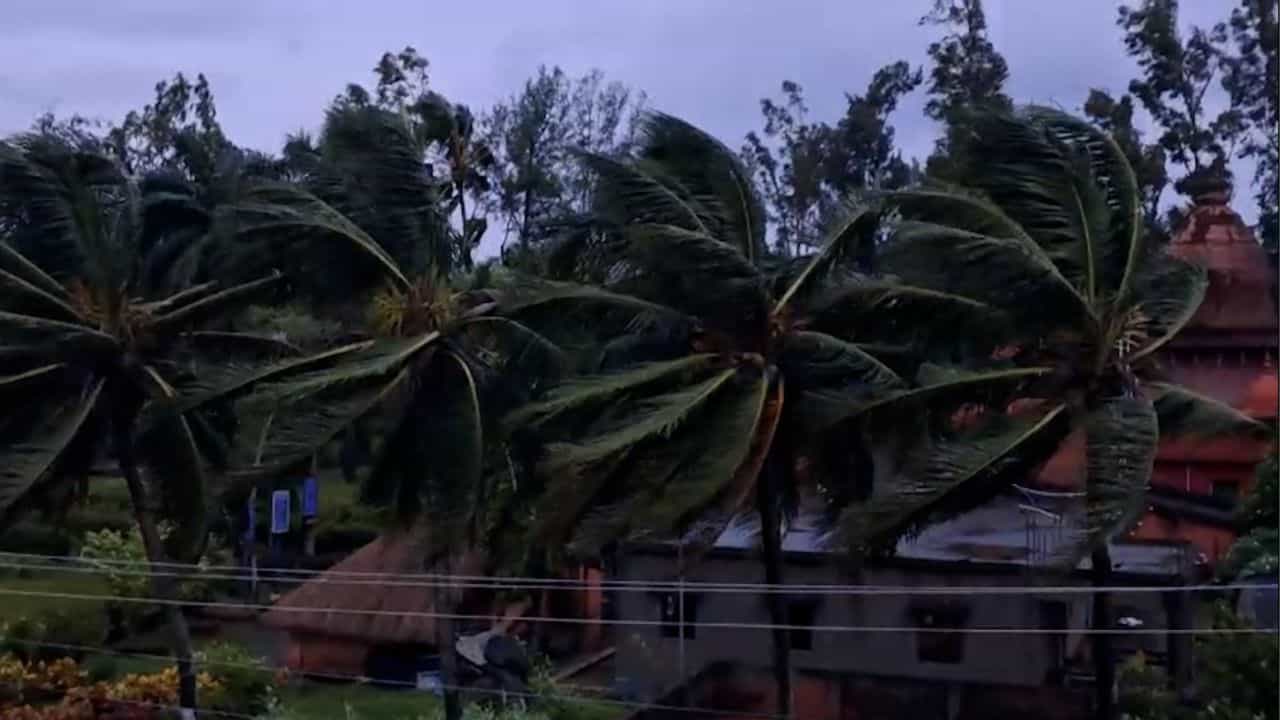 Kolkata Cyclone Latest Update: সকাল থেকেই মুষলধারে বৃষ্টি কলকাতায়, কখন উঠবে তুমুল ঝড়? Kolkata Cyclone Latest Update: সকাল থেকেই মুষলধারে বৃষ্টি কলকাতায়, কখন উঠবে তুমুল ঝড়?