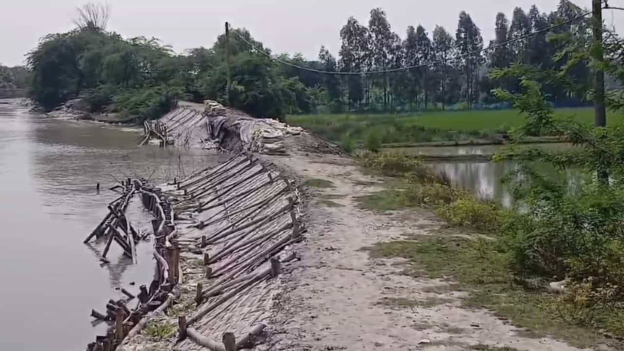Cyclone Update: চোখ রাঙাচ্ছে দানা, তার আগেই ফাটল নদীবাঁধে, সব হারানোর আশঙ্কায় সুন্দরবনবাসী Cyclone Update: চোখ রাঙাচ্ছে দানা, তার আগেই ফাটল নদীবাঁধে, সব হারানোর আশঙ্কায় সুন্দরবনবাসী
