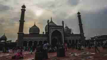 Jama Masjid: জামা মসজিদ হবে সুরক্ষিত স্মৃতিস্তম্ভ? এএসআইকে হলফনামা দিতে নির্দেশ