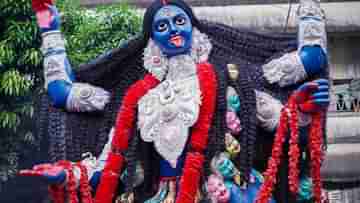 Kali Puja 2024: কালী পুজোয় কেন লাগবেই রক্ত জবা?